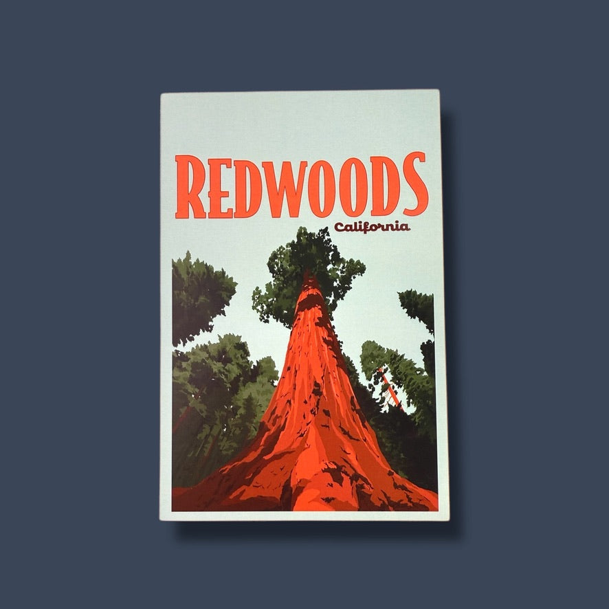 Redwoods Postcard