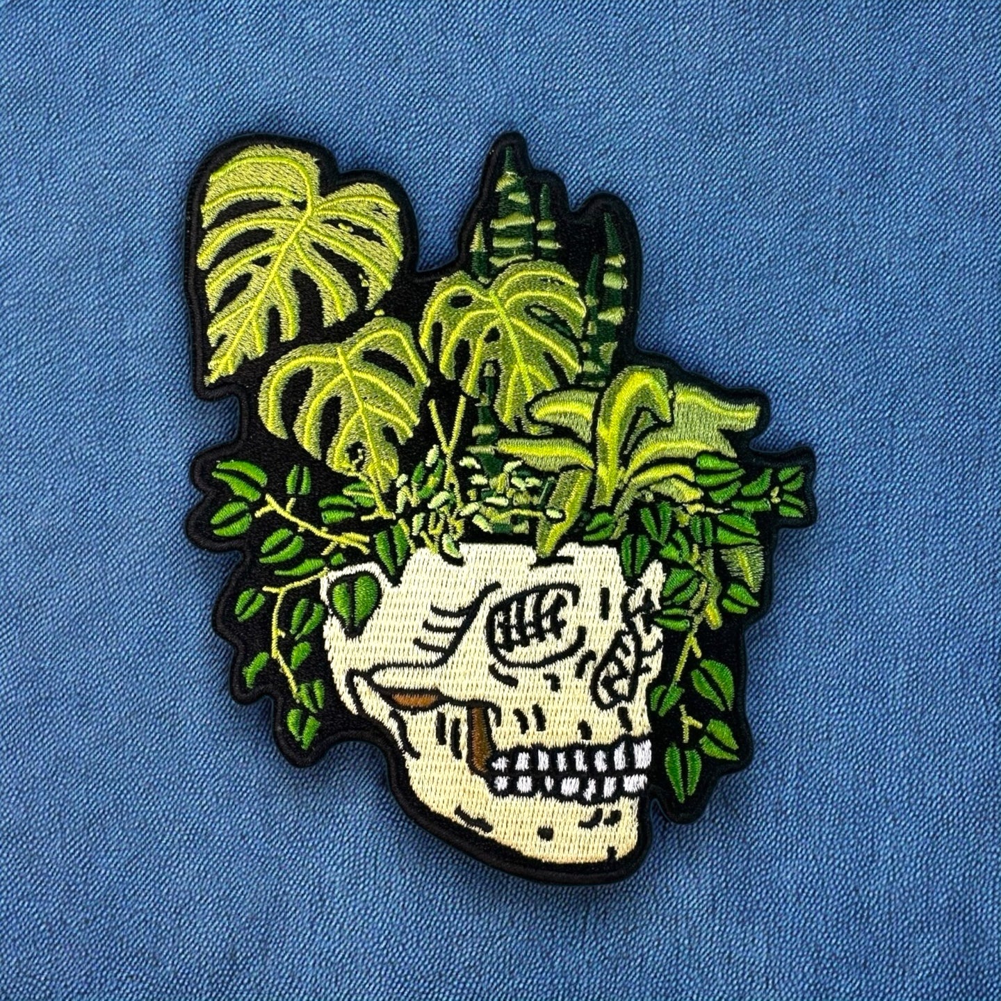 Skull-Cranium Patch