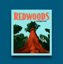 Load image into Gallery viewer, Redwoods National Park, California- Poster Sticker
