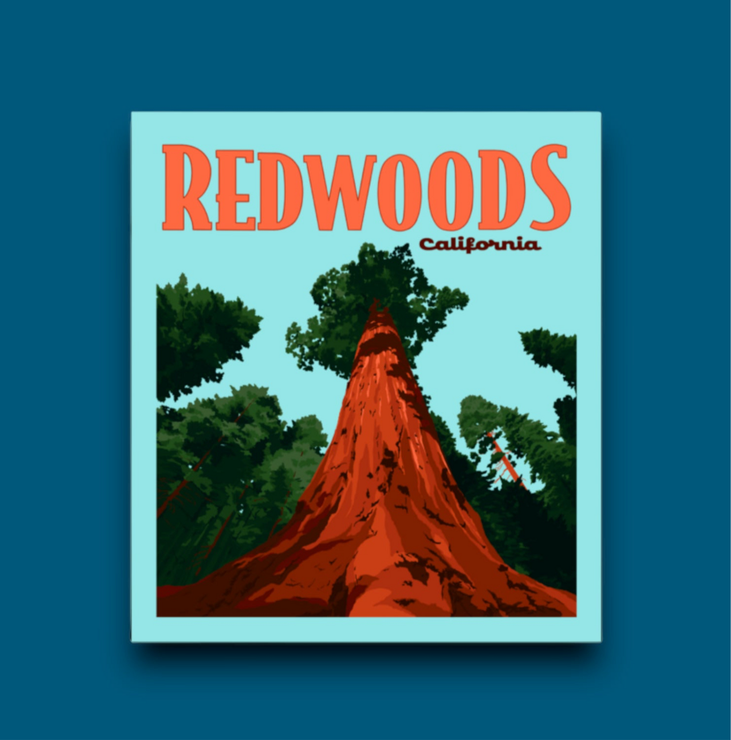 Redwoods National Park, California- Poster Sticker