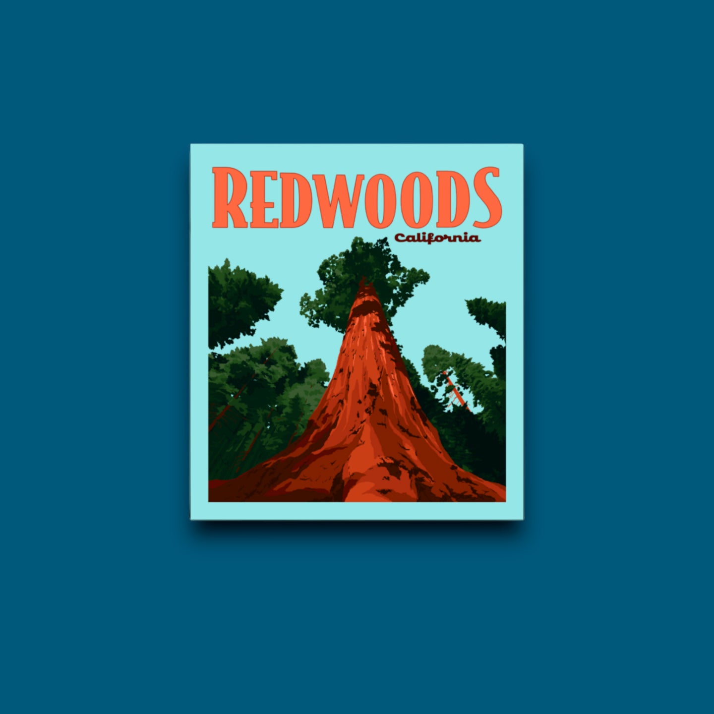 Redwoods National Park, California- Poster Sticker