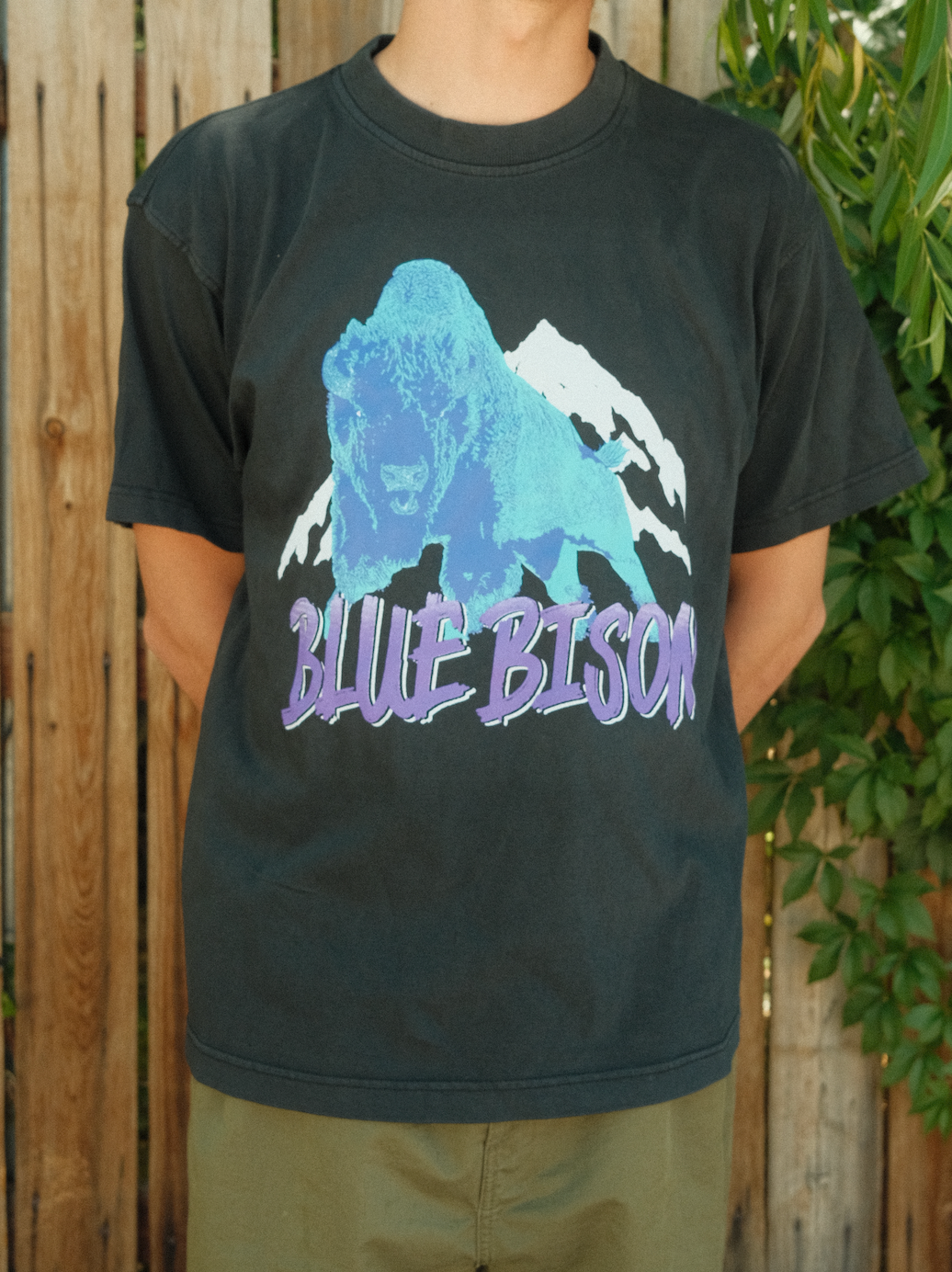 The Icy Bison Tee